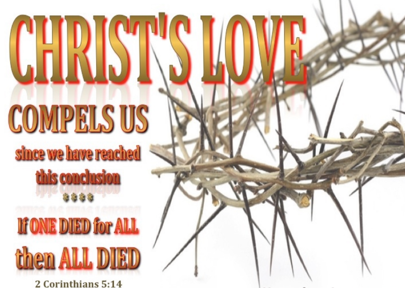Definite (Limited) Atonement and Particular Redemption through Christ’s ...